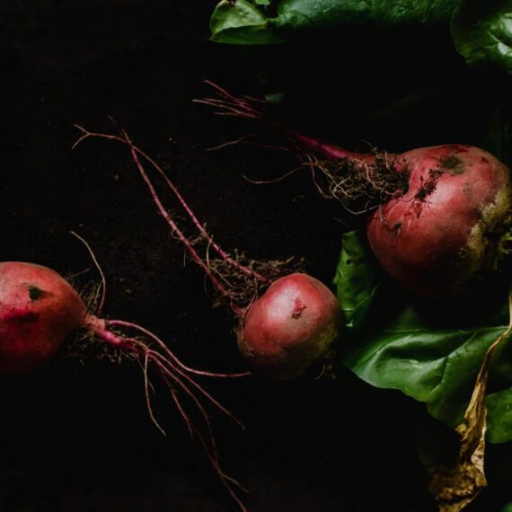 beterraba crua vs cozida