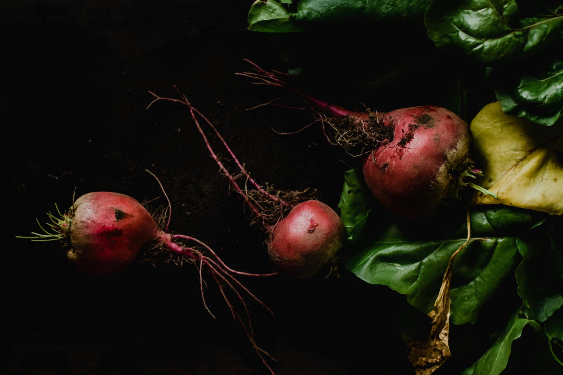 Beterraba Crua vs Cozida: Qual Forma Garante Mais Nutrientes?