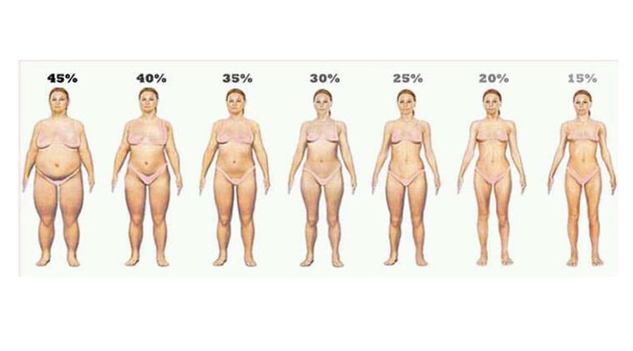 Desenho de várias mulheres de Composição Corporal diferentes.