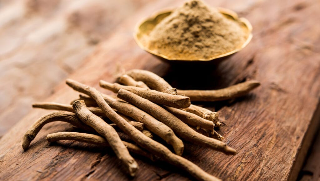 Ashwagandha em sua forma natural em tubérculos e em sua forma em pó.