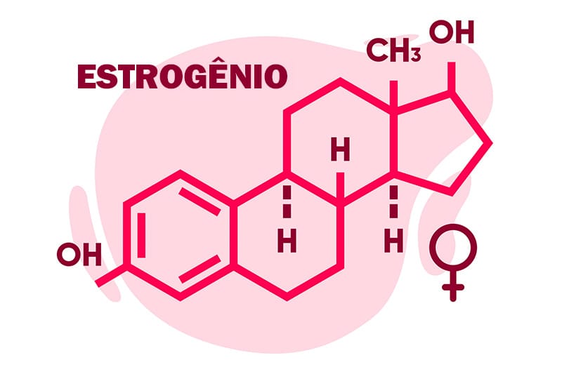 Estrutura de uma molécula de Estrogênio.