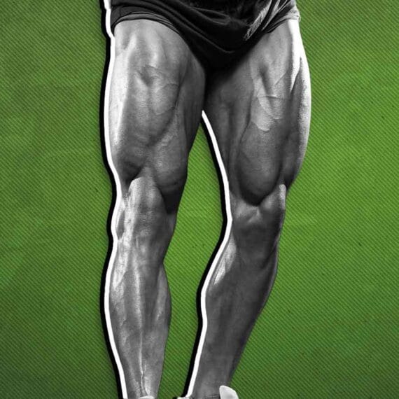 Descubra Quais Músculos Trabalham Durante a Pedalada