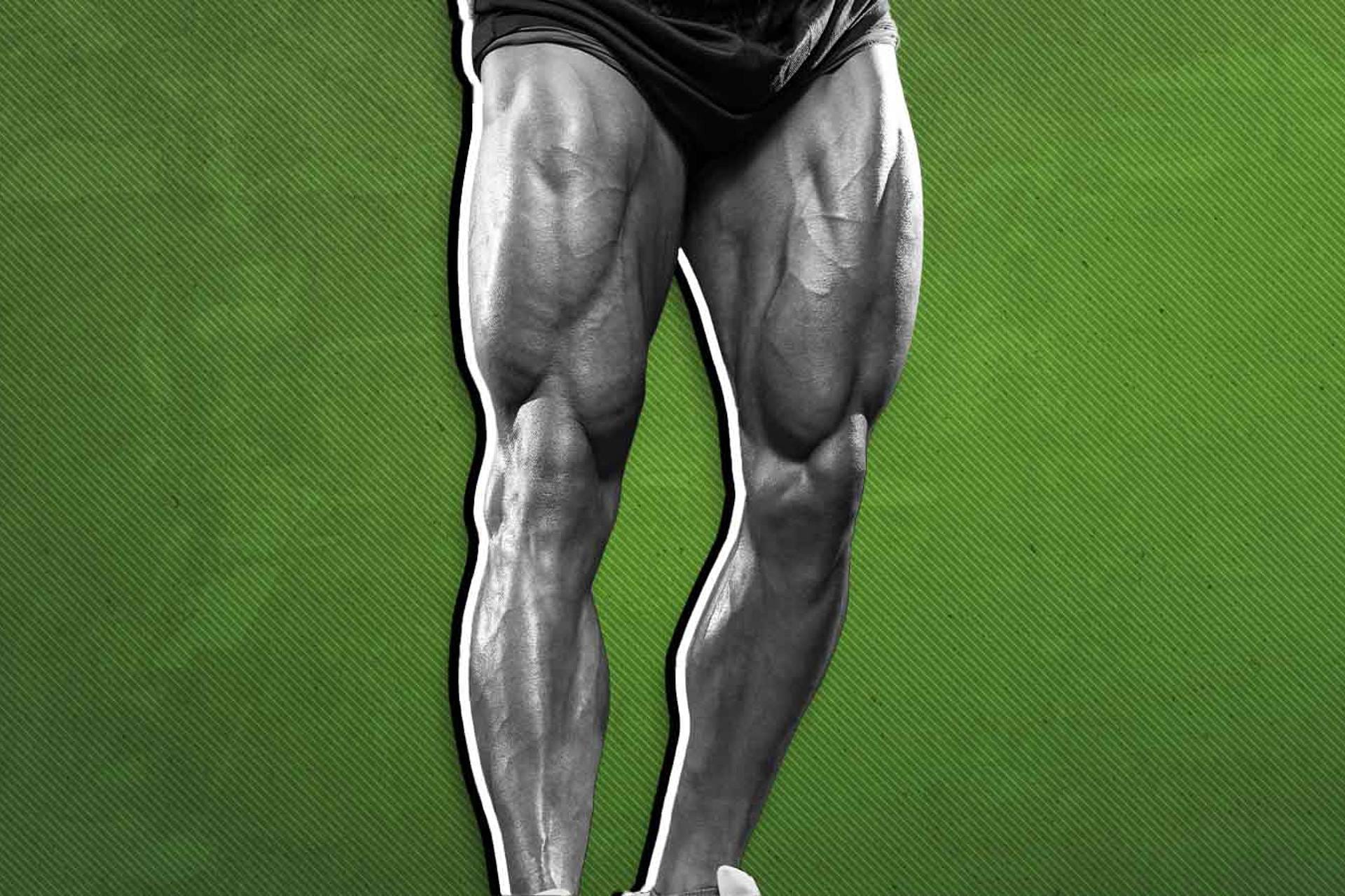 Descubra Quais Músculos Trabalham Durante a Pedalada