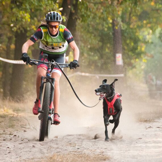 Bikejoring: O que é e como começar neste esporte emergente de mountain bike onde seu cachorro puxa você pelas trilhas