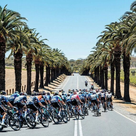 Tour Down Under 2026 Masculino: Tudo Que Você Precisa Saber Sobre a Abertura da Temporada no Calor Australiano