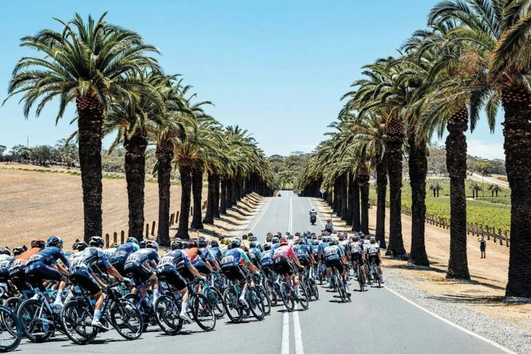 Tour Down Under 2026 Masculino: Tudo Que Você Precisa Saber Sobre a Abertura da Temporada no Calor Australiano