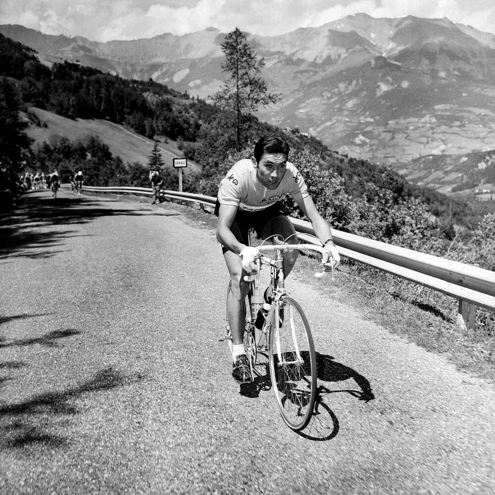 Eddy Merckx