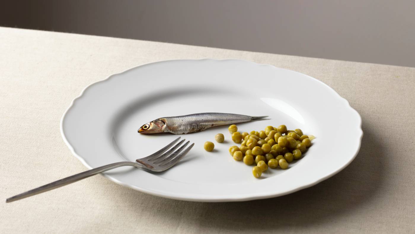 Jejum intermitente pode ser armadilha para ciclistas? Especialistas respondem