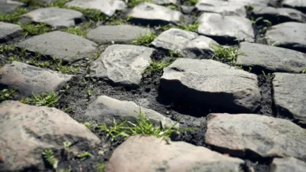 Paris-Roubaix 2026 e o Setor 26 de Briastre: o Trecho Esquecido Que Pode Incendiar o Inferno do Norte