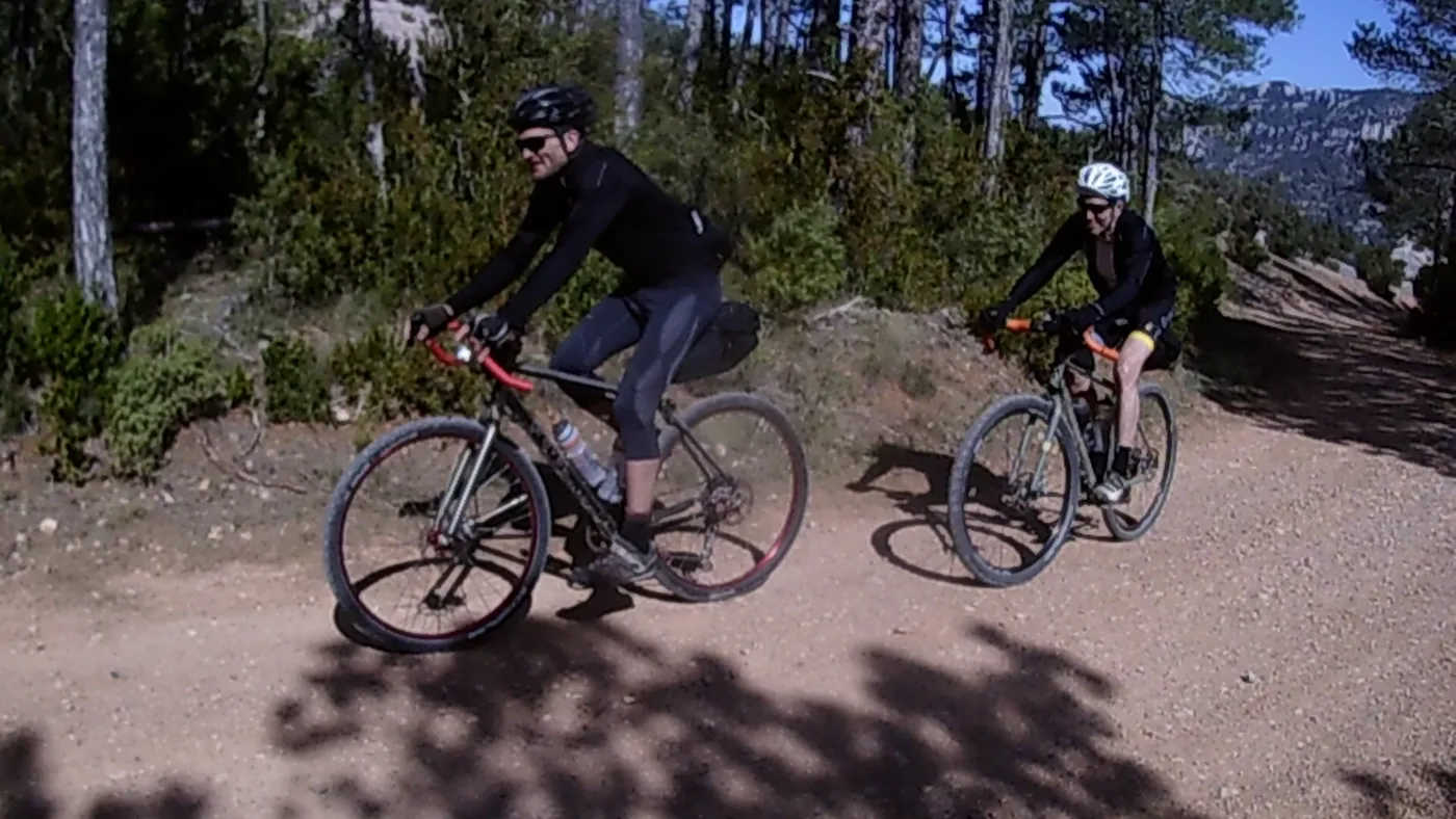 Dois ciclistas pedalam lado a lado em pista de terra entre pinheiros