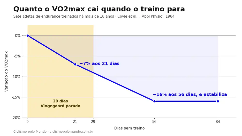 Vingegaard fora da temporada 2026: gráfico da queda do VO2max por dias sem treino
