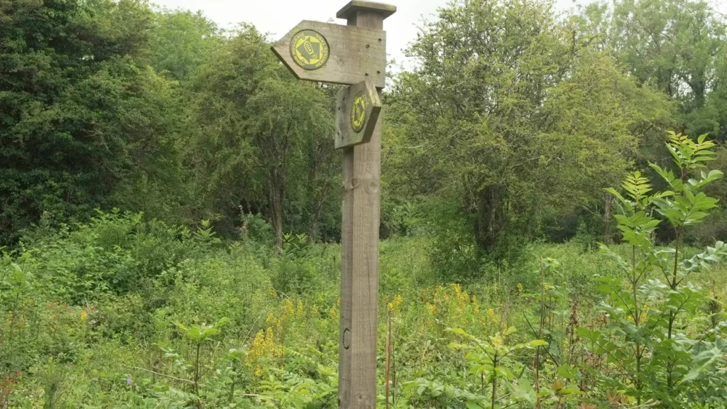 Poste com setas amarelas de sinalização indica o caminho em meio à vegetação.