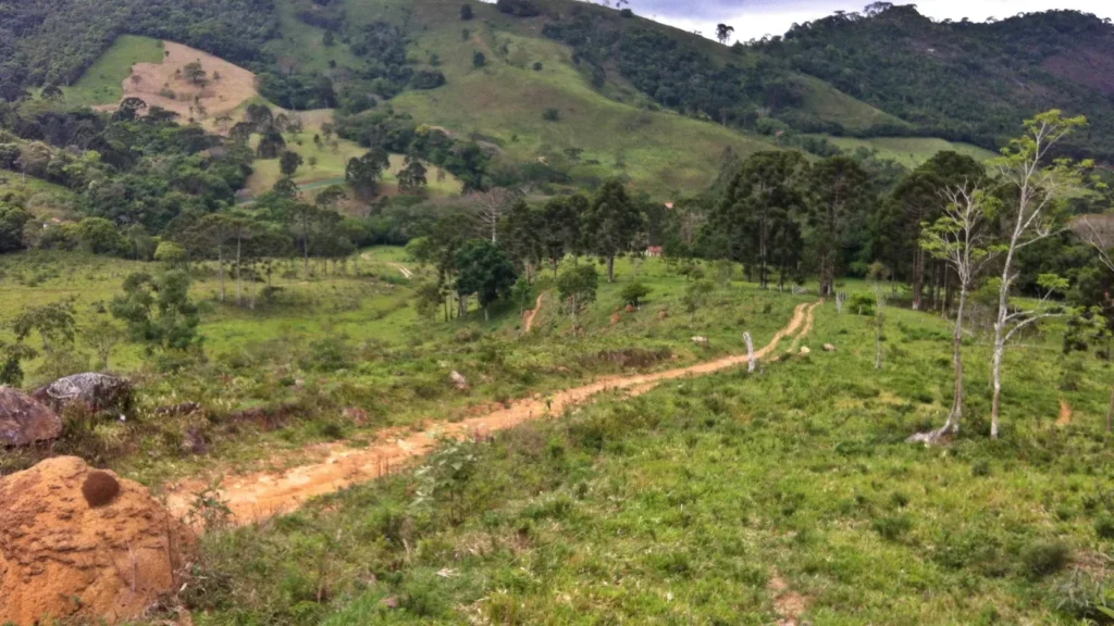 Caminho da Fé, visão da estrada de terra da região.