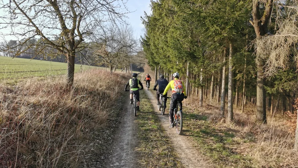Grupo de ciclistas pedala por estrada de terra margeada de árvores
