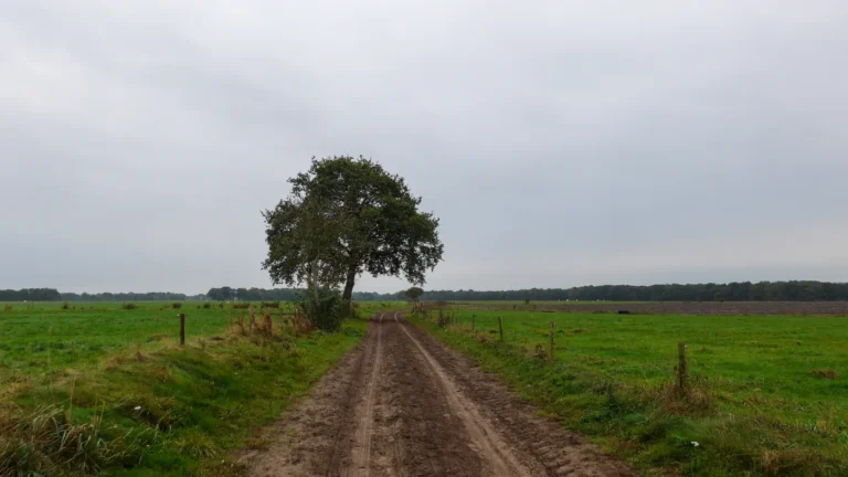 Circuito Vale Europeu de bicicleta: etapas, custos e logística