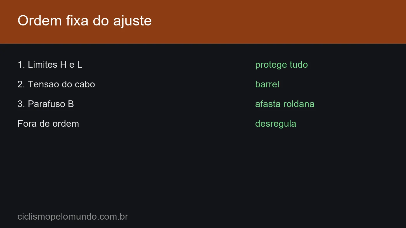 Grafico com a ordem fixa do ajuste